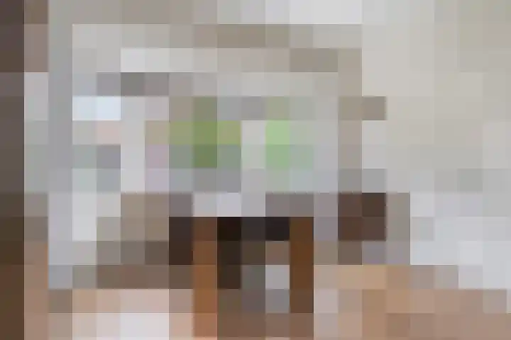 Korenbloemlaan 23 Ede thumbnail 6