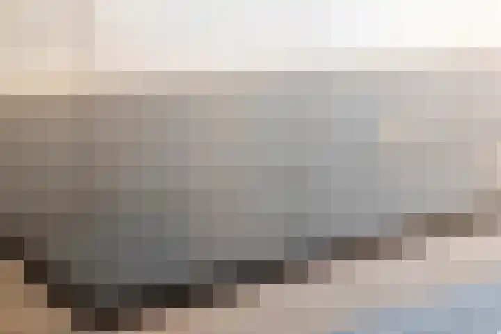 Korenbloemlaan 26 Arnemuiden thumbnail 17