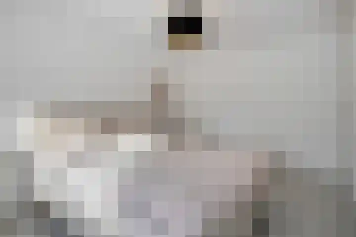 Korenbloemlaan 26 Arnemuiden thumbnail 23