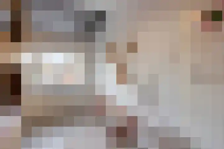 Korenbloemlaan 26 Arnemuiden thumbnail 28