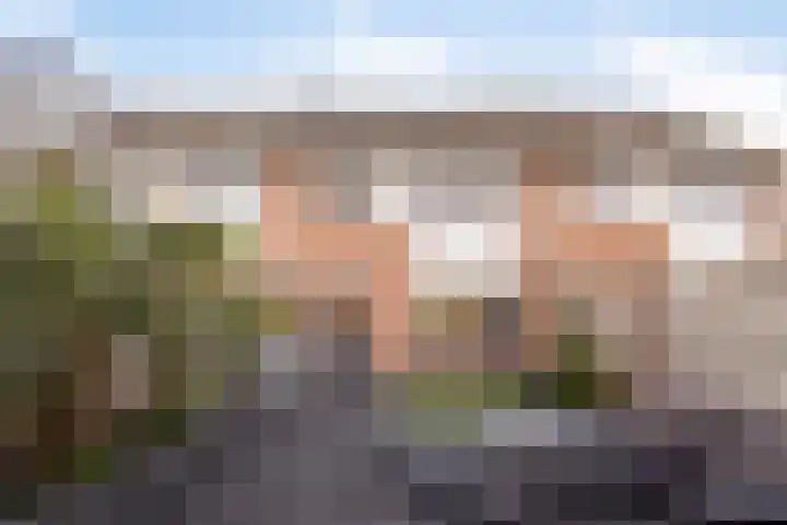 Korenbloemlaan 26 Arnemuiden thumbnail 35