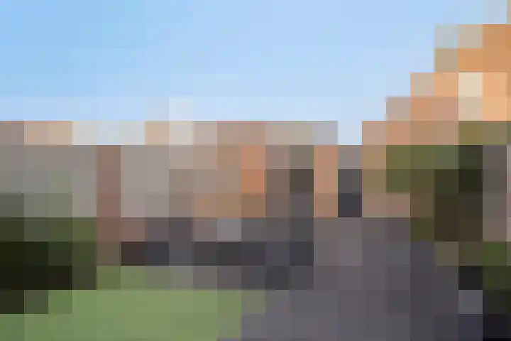 Korenbloemlaan 26 Arnemuiden thumbnail 36