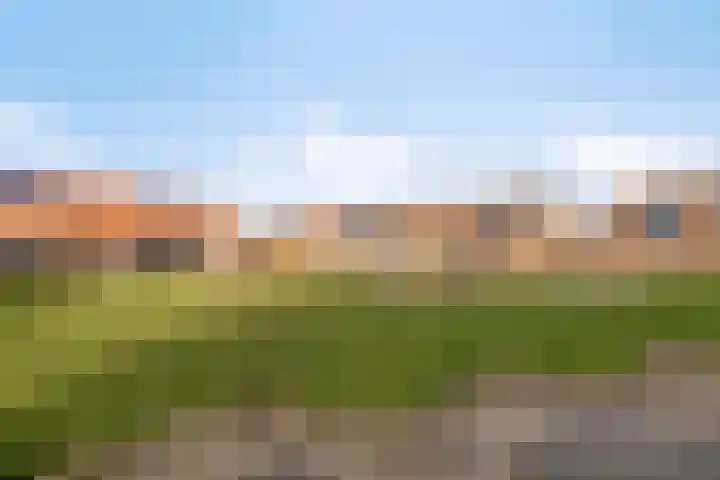 Korenbloemlaan 26 Arnemuiden thumbnail 37