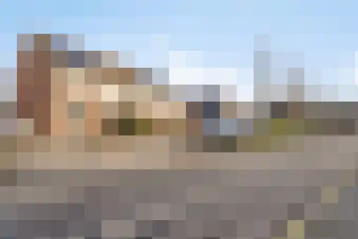 Korenbloemlaan 26 Arnemuiden thumbnail 4