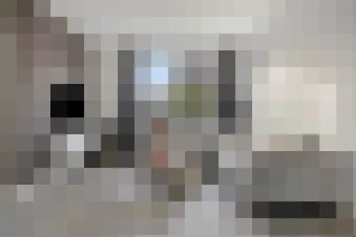 Korenbloemlaan 26 Arnemuiden thumbnail 9