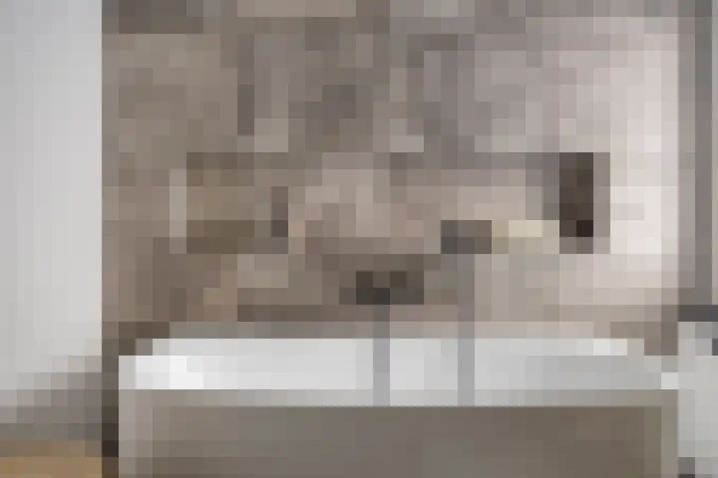 Korenbloemlaan 28 Wintelre thumbnail 19