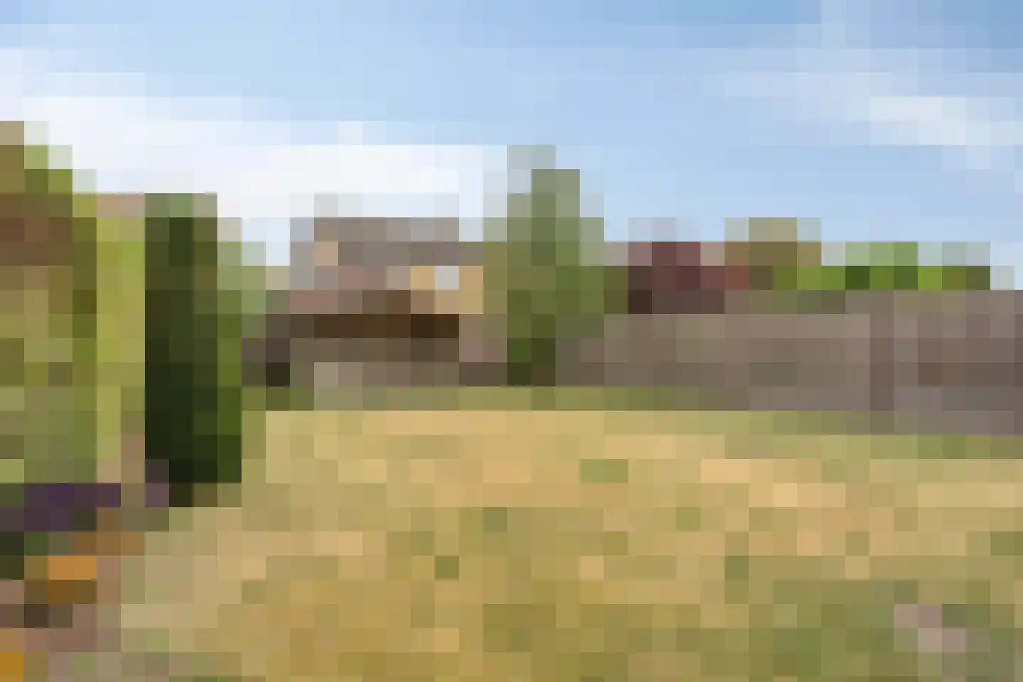 Korenbloemlaan 28 Wintelre thumbnail 22