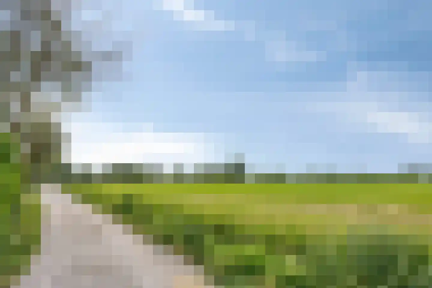 Korenbloemlaan 28 Wintelre thumbnail 26