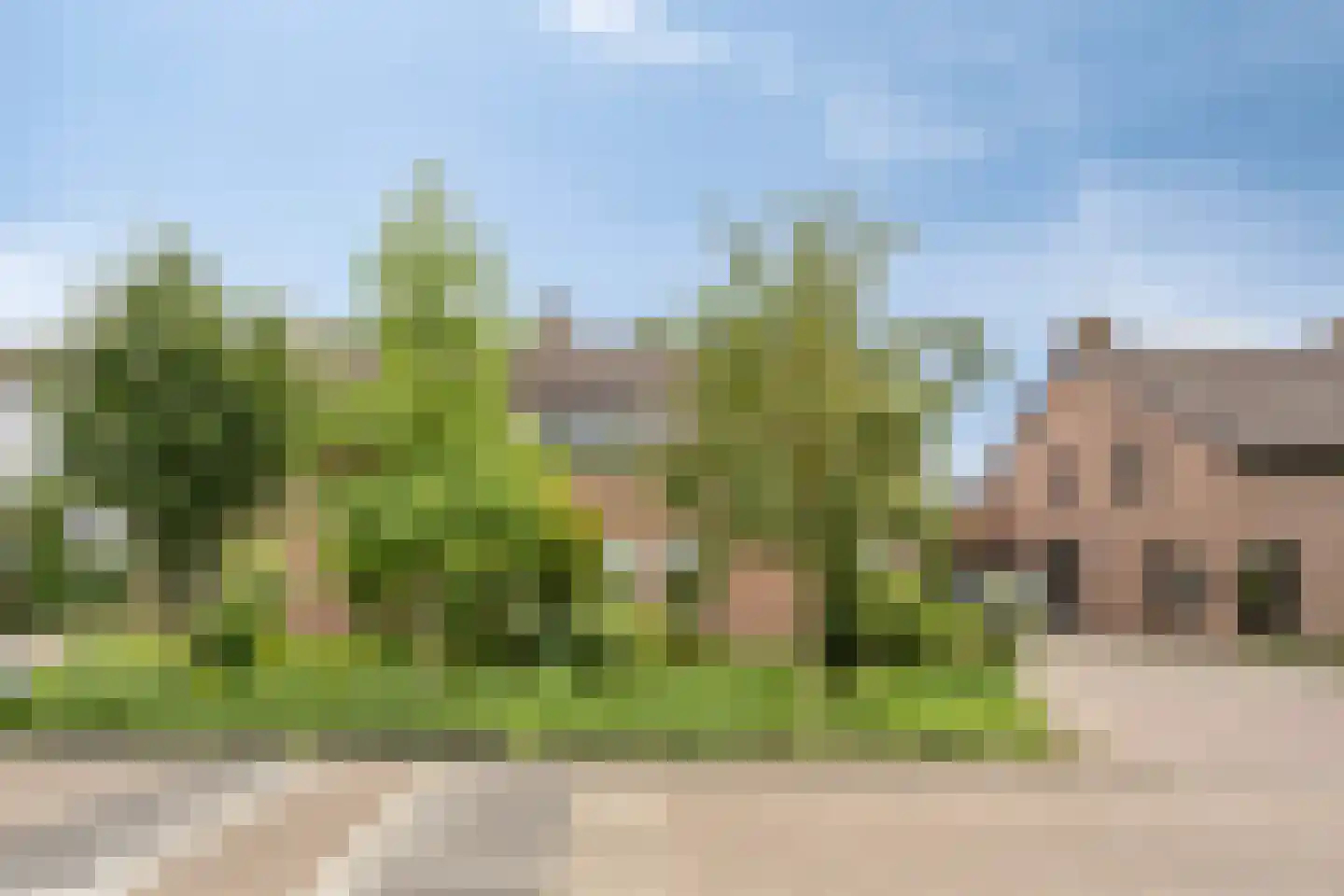 Korenbloemlaan 28 Wintelre thumbnail 4