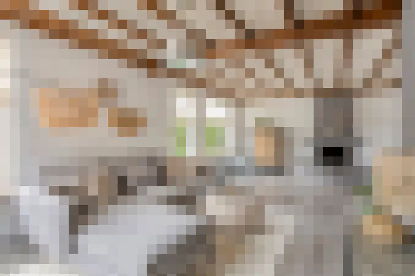 Korenbloemlaan 28 Wintelre thumbnail 7