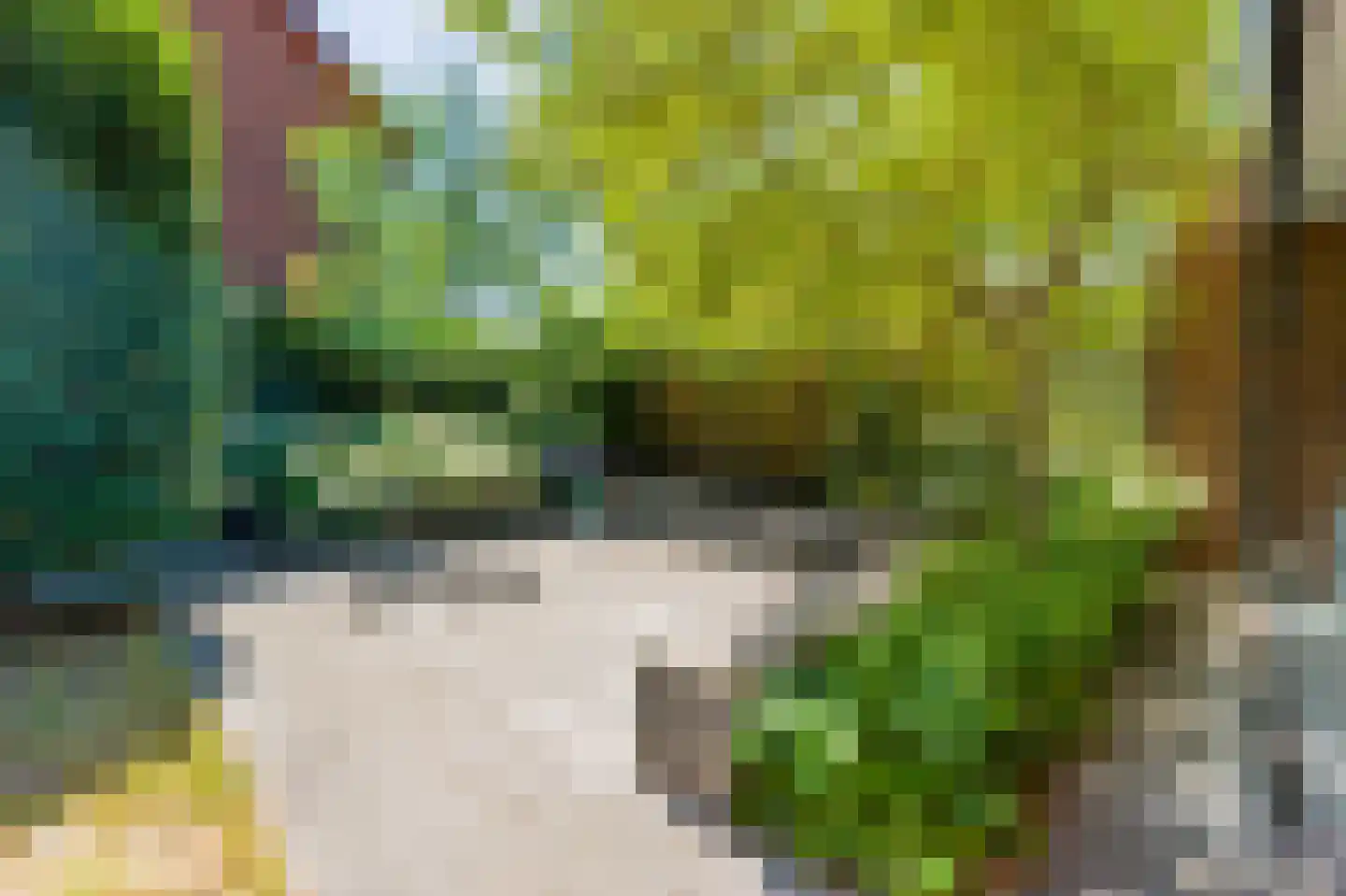 Korenbloemlaan 31 Amstelveen thumbnail 15