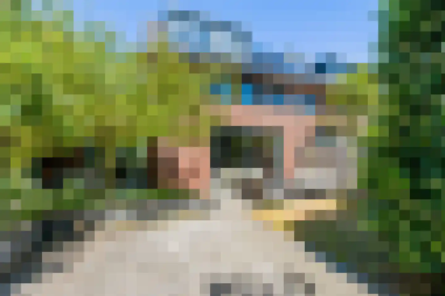 Korenbloemlaan 31 Amstelveen thumbnail 16