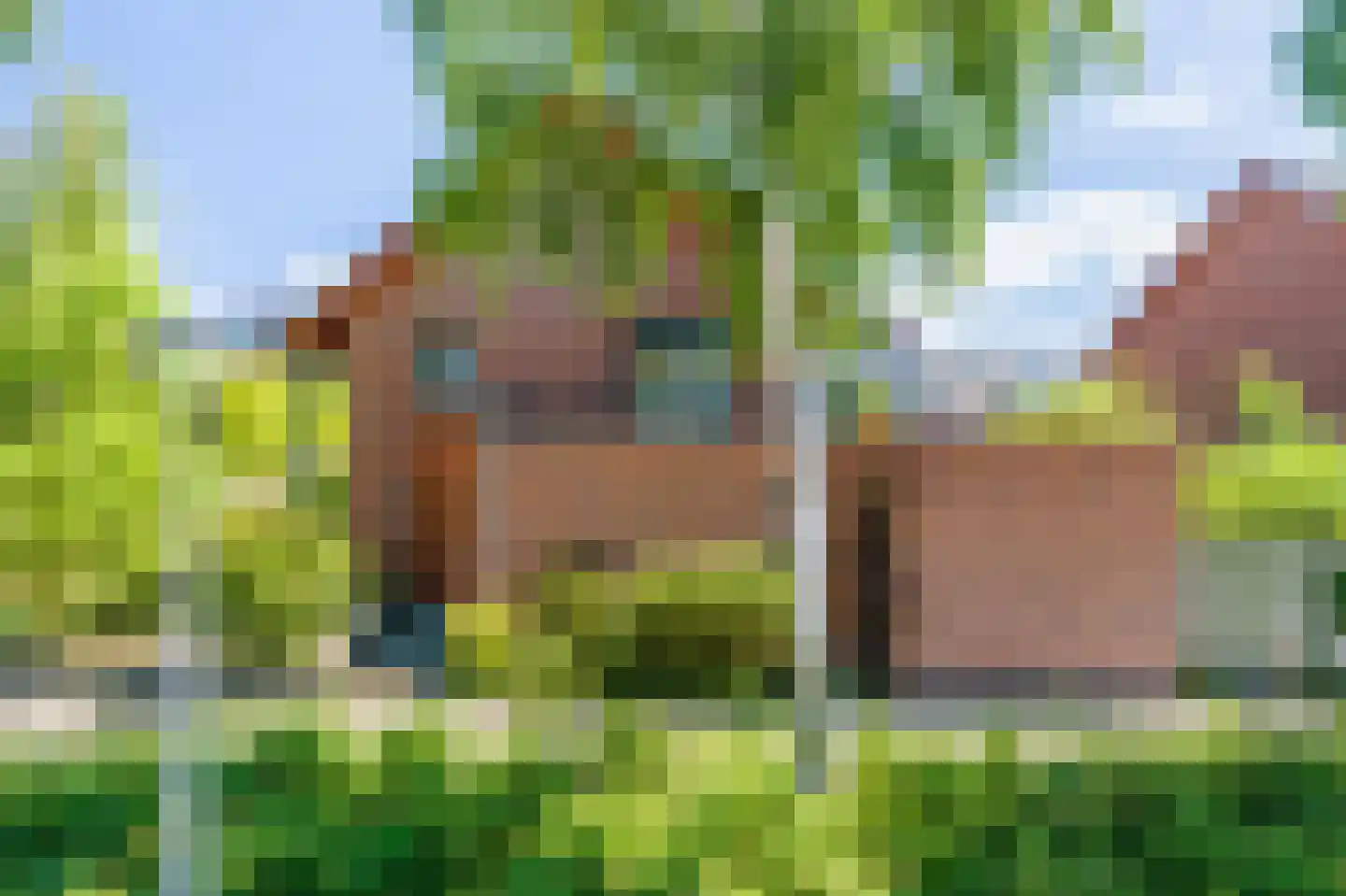 Korenbloemlaan 31 Amstelveen thumbnail 36