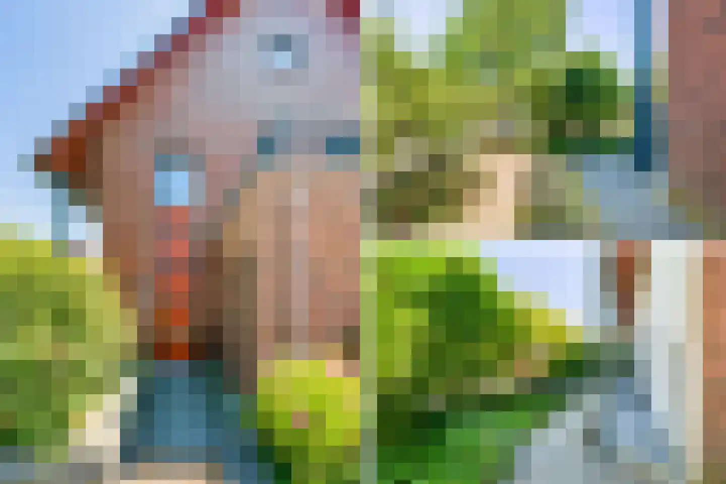 Korenbloemlaan 31 Amstelveen thumbnail 37