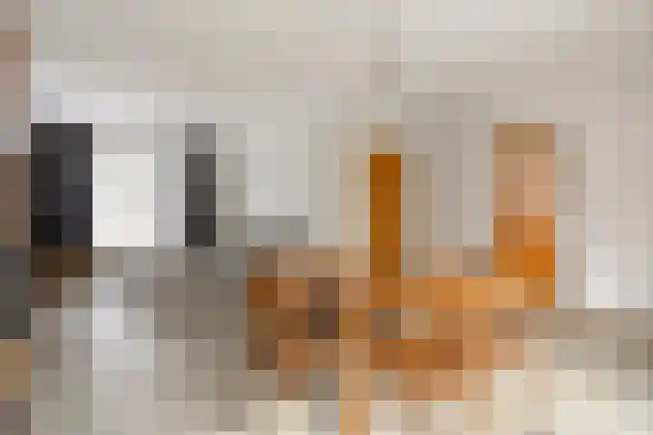 Korenbloemlaan 38 Wintelre thumbnail 15