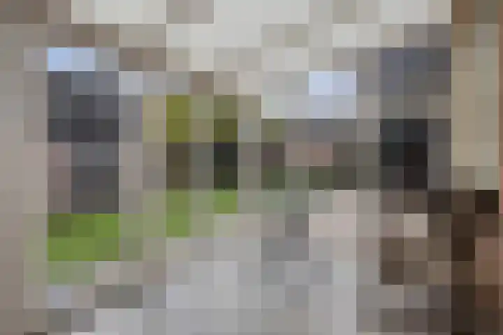 Korenbloemlaan 38 Wintelre thumbnail 23
