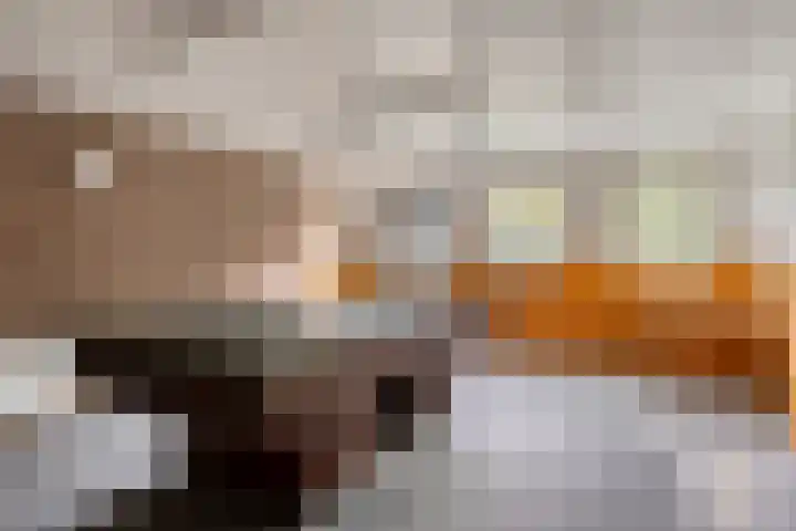 Korenbloemlaan 38 Wintelre thumbnail 35