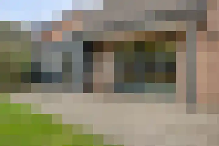 Korenbloemlaan 38 Wintelre thumbnail 36