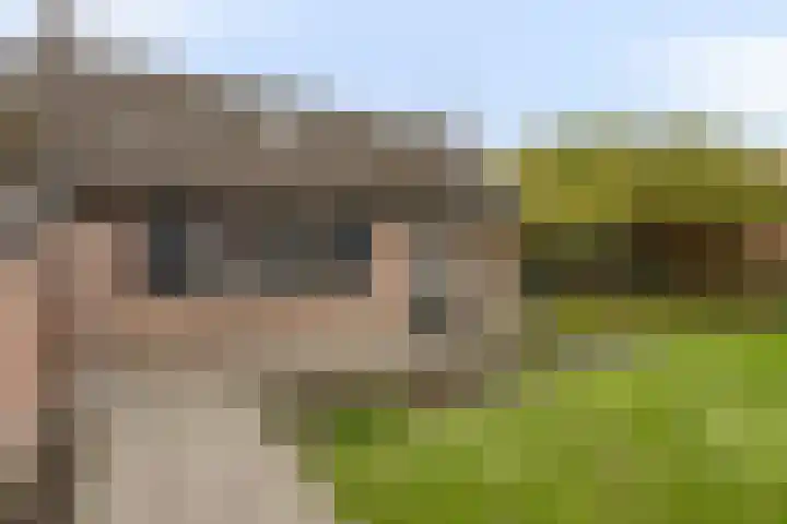 Korenbloemlaan 38 Wintelre thumbnail 37