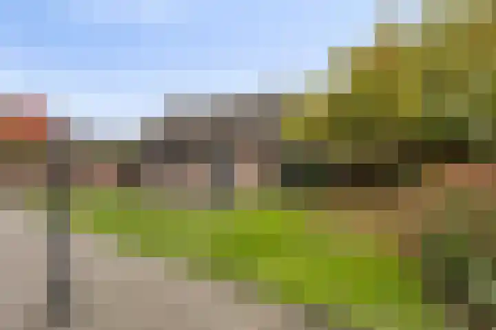 Korenbloemlaan 38 Wintelre thumbnail 38