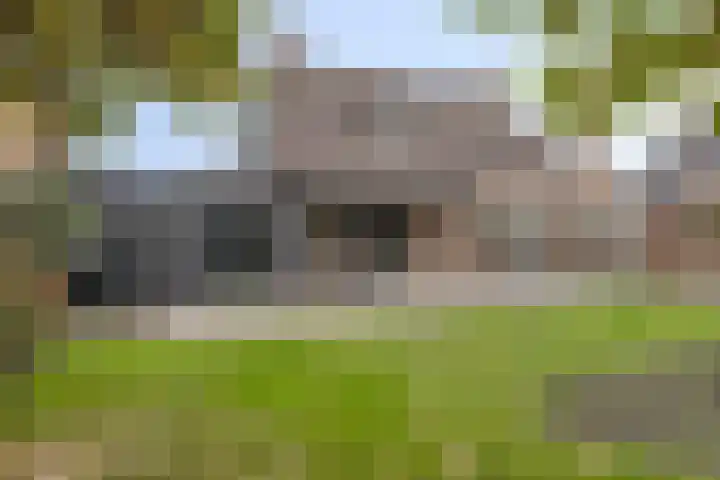 Korenbloemlaan 38 Wintelre thumbnail 39