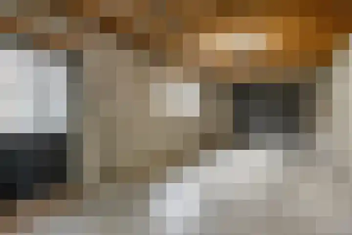 Korenbloemlaan 38 Wintelre thumbnail 41