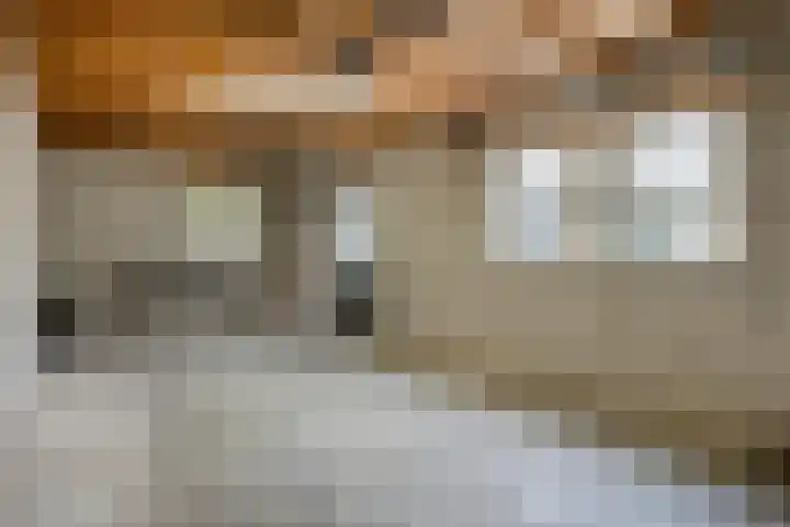 Korenbloemlaan 38 Wintelre thumbnail 42