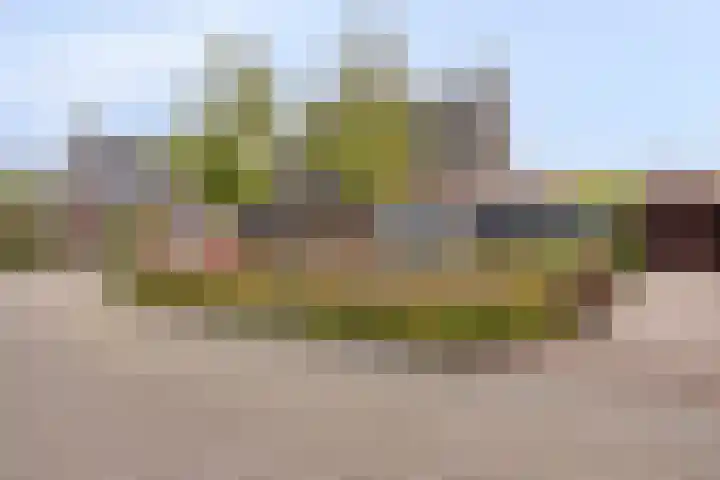 Korenbloemlaan 38 Wintelre thumbnail 6