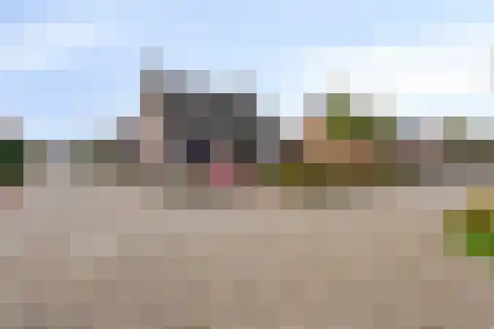 Korenbloemlaan 38 Wintelre thumbnail 8