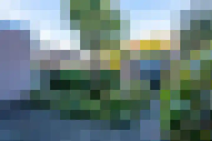 Korenbloemlaan 39 Oegstgeest thumbnail 24
