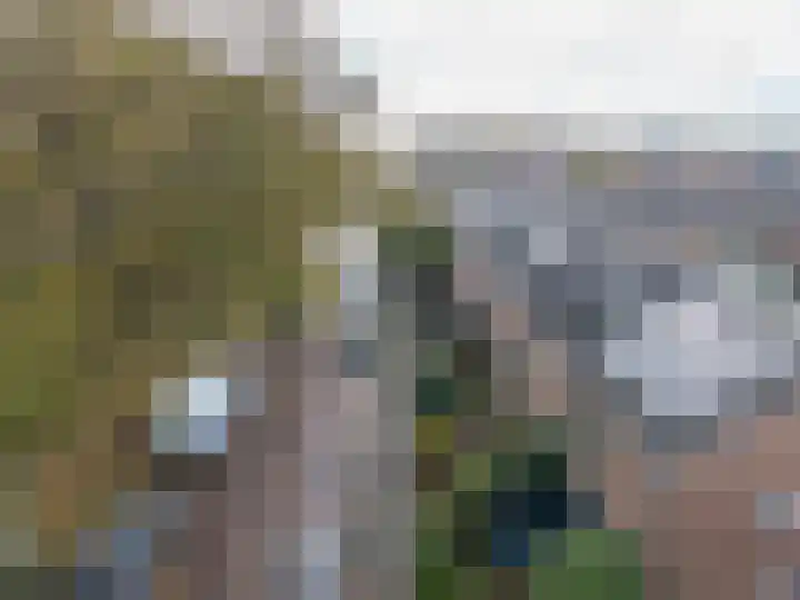 Korenbloemlaan 39 Oegstgeest thumbnail 29
