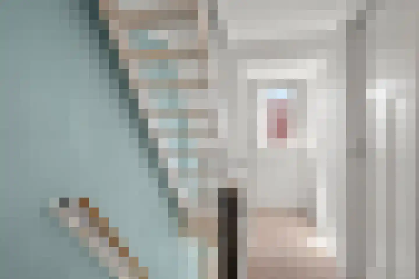 Korenbloemlaan 4 Ede thumbnail 23