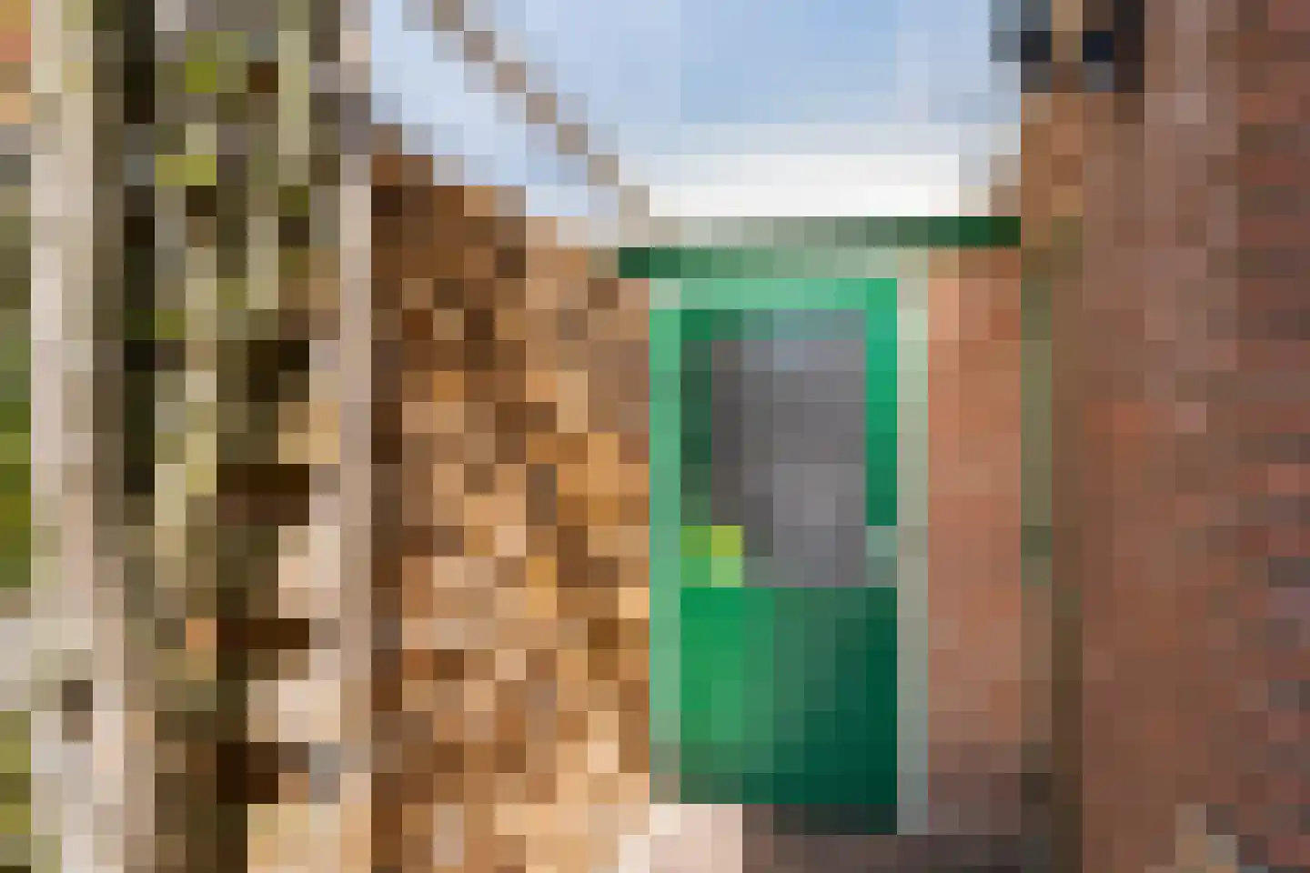 Korenbloemlaan 4 Ede thumbnail 35