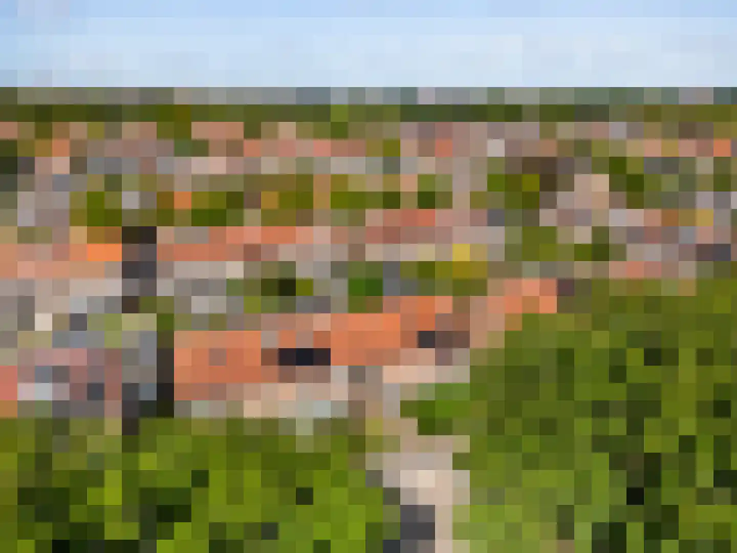 Korenbloemlaan 71 Oegstgeest thumbnail 39