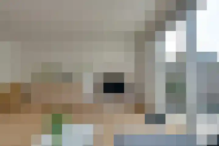 Korenbloemlaan 8 Amstelveen thumbnail 16