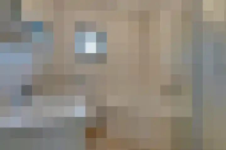 Korenbloemlaan 8 Amstelveen thumbnail 36