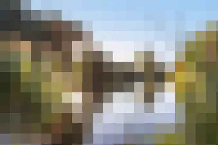 Korenbloemlaan 8 Amstelveen thumbnail 42