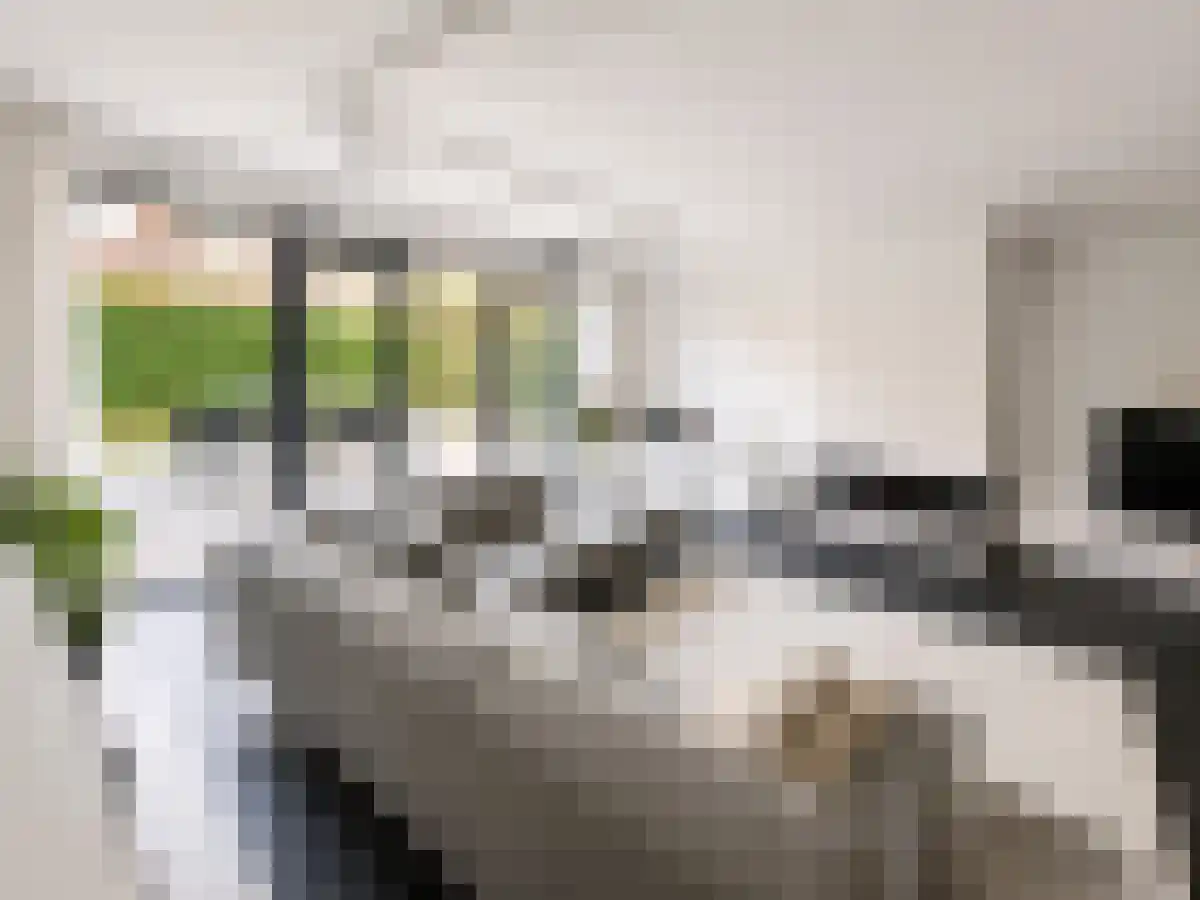 Korenbloemlaan 94 Amstelveen thumbnail 5