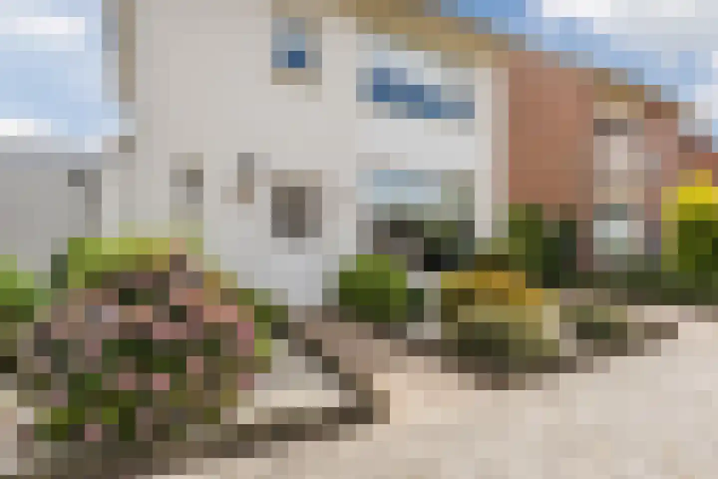 Korenbloemstraat 1 Berkel-Enschot thumbnail 39