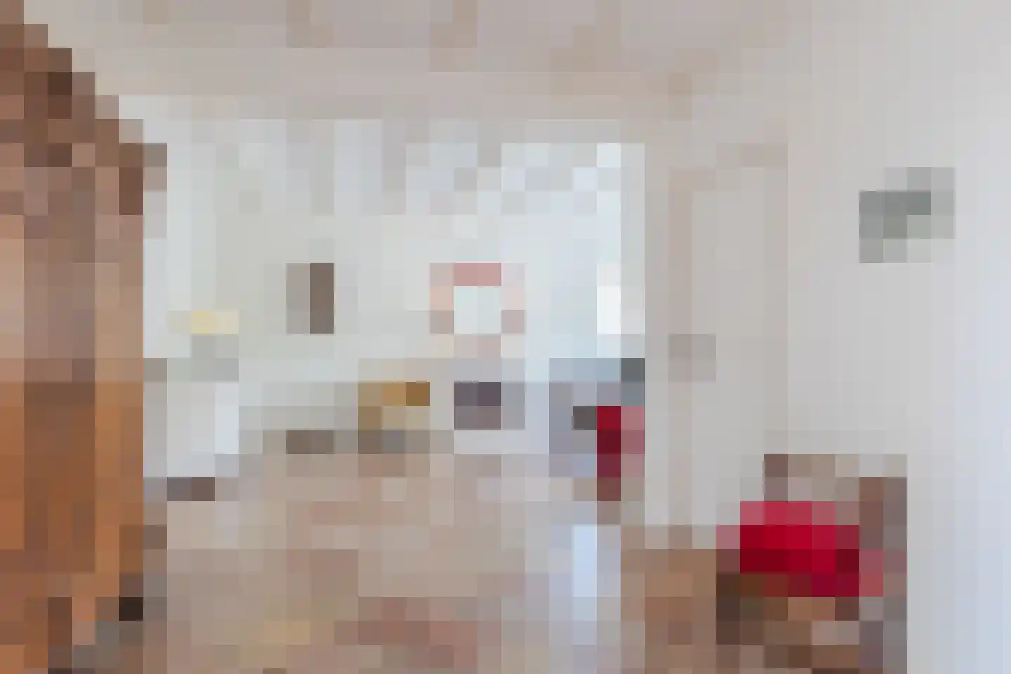 Korenbloemstraat 1 Berkel-Enschot thumbnail 7