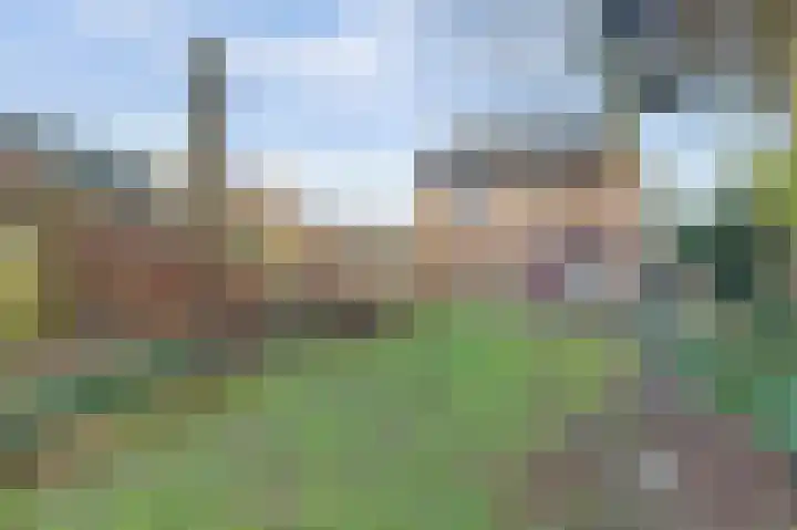 Korenbloemstraat 1 Beuningen Gld thumbnail 33