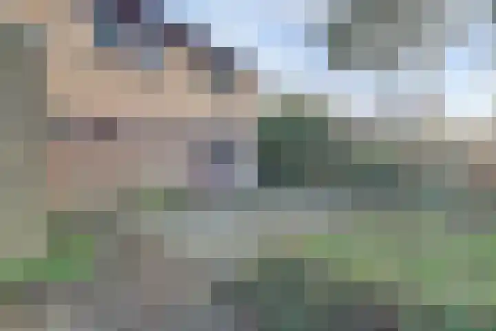 Korenbloemstraat 1 Beuningen Gld thumbnail 34