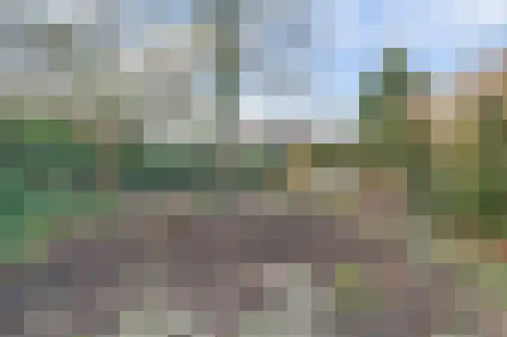 Korenbloemstraat 1 Beuningen Gld thumbnail 37