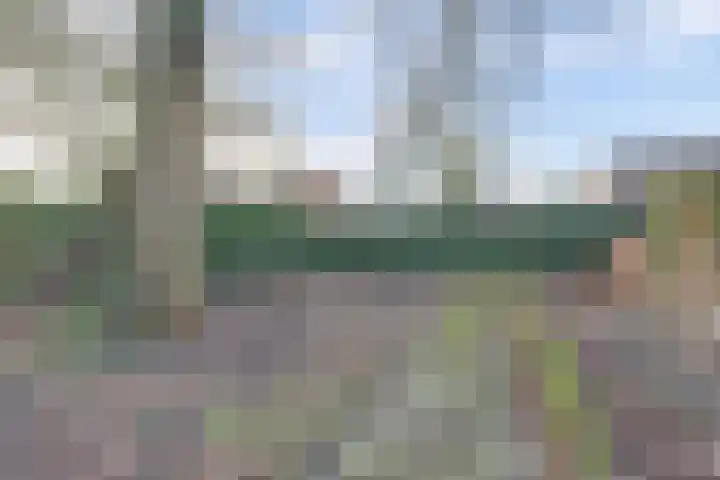 Korenbloemstraat 1 Beuningen Gld thumbnail 38