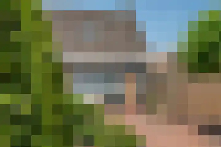 Korenbloemstraat 1 Eck en Wiel thumbnail 21