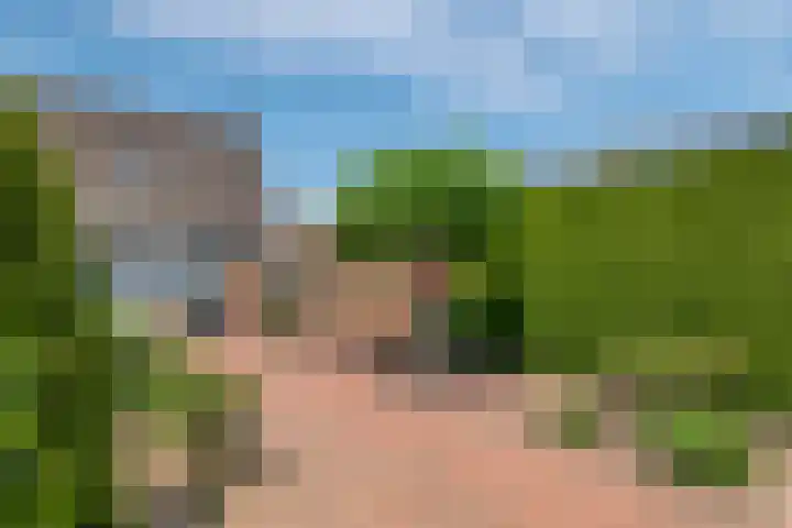 Korenbloemstraat 1 Eck en Wiel thumbnail 22