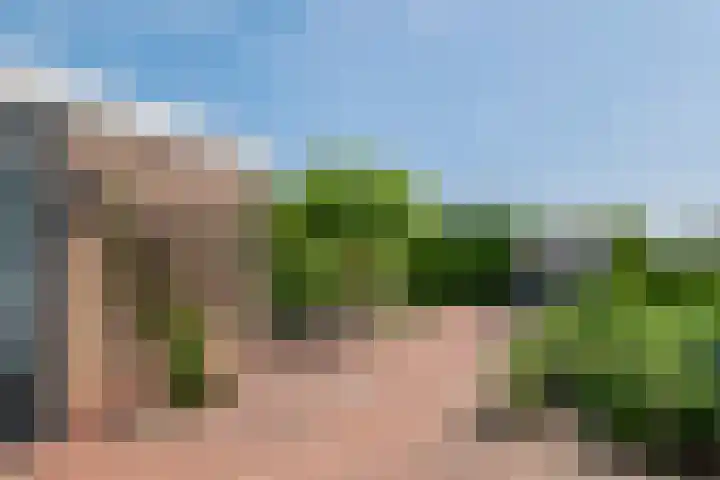 Korenbloemstraat 1 Eck en Wiel thumbnail 24