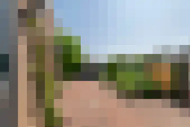 Korenbloemstraat 1 Eck en Wiel thumbnail 25