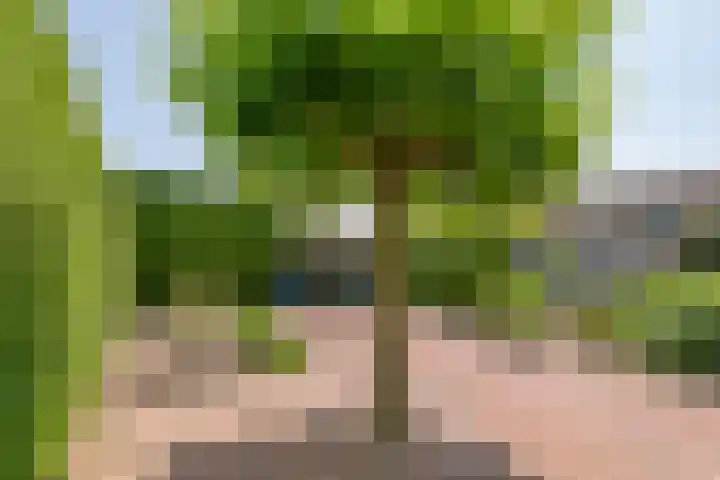 Korenbloemstraat 1 Eck en Wiel thumbnail 26