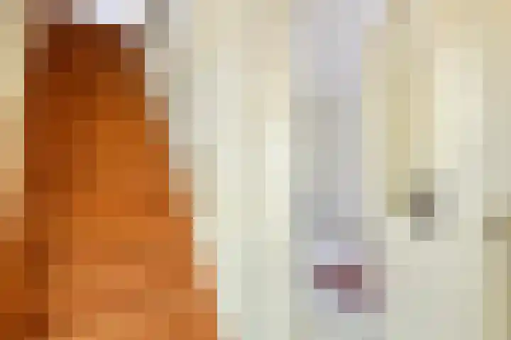Korenbloemstraat 1 Eck en Wiel thumbnail 28